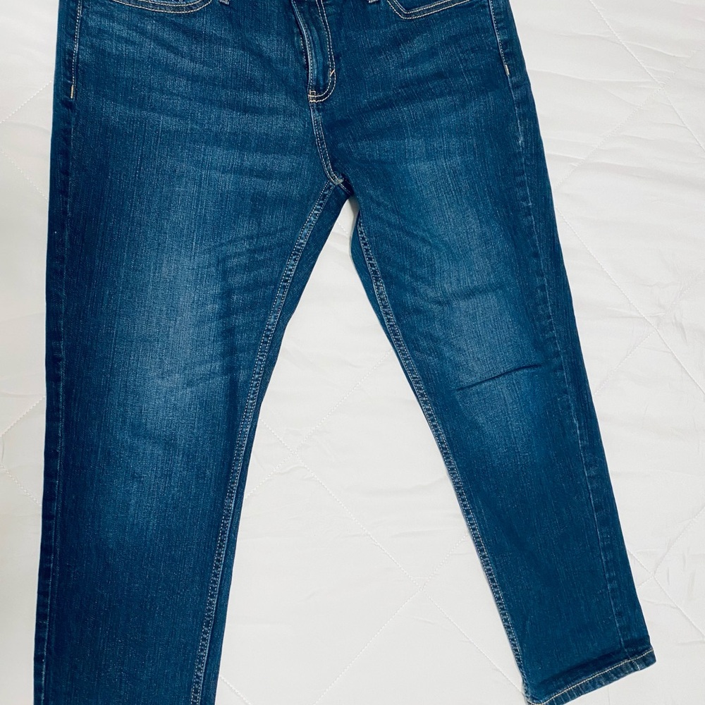 Banana Republic Classic Blue Denim Jeans
Size 10P